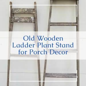 old ladder plant stand tutorial