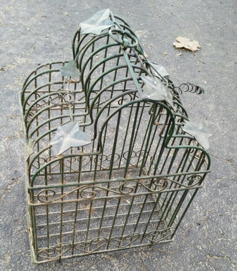 green thrift store birdcaage