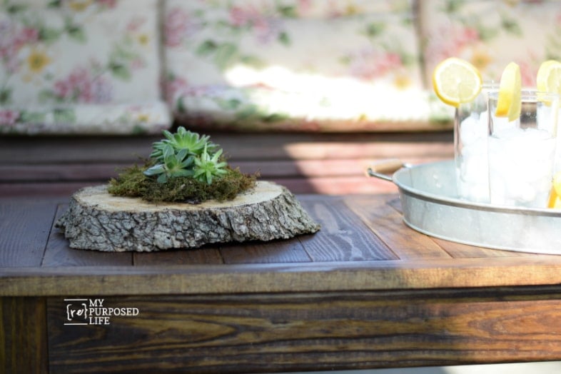 small succulent planter on an outdoor coffee table