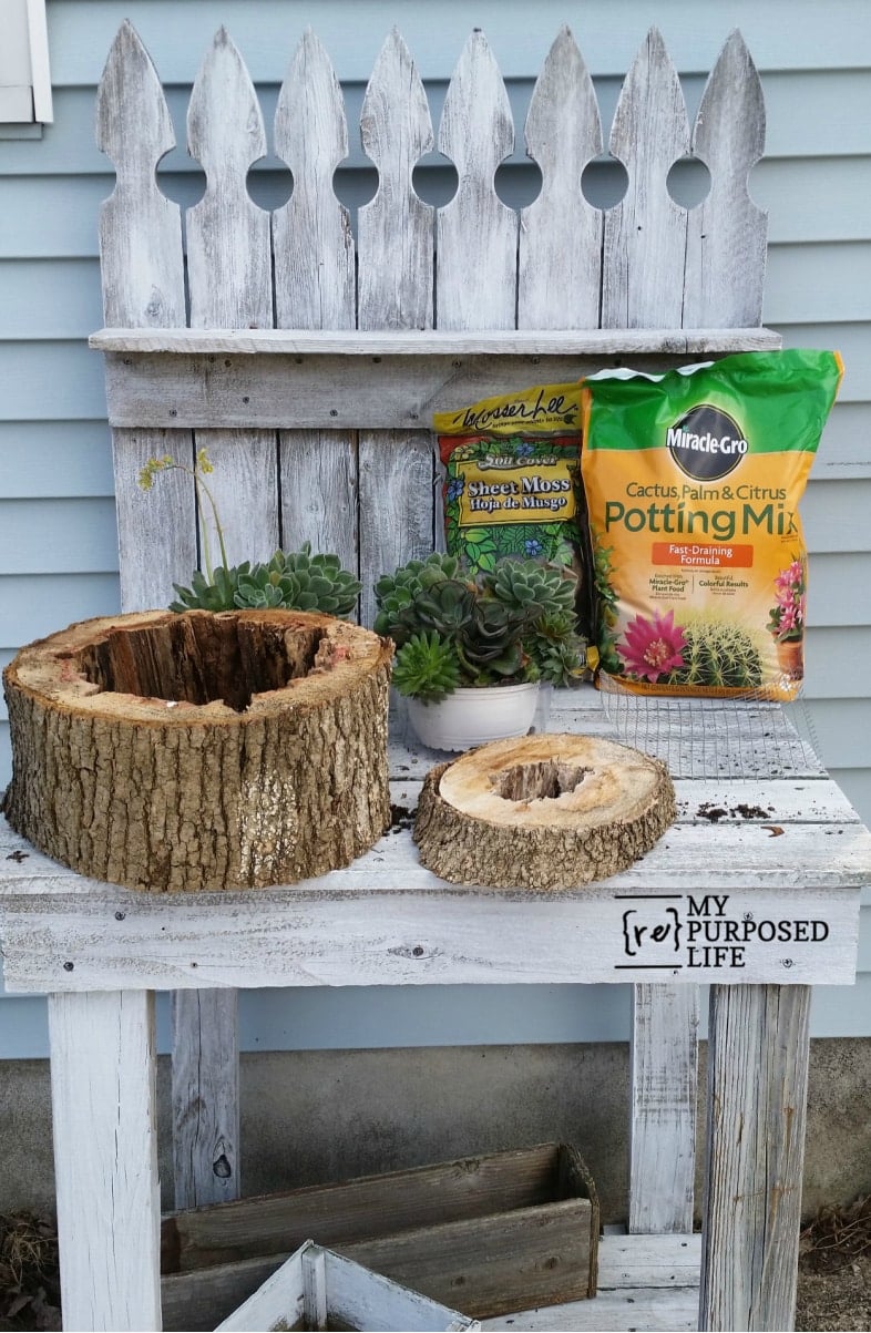 rotted tree pieces on a potting bench