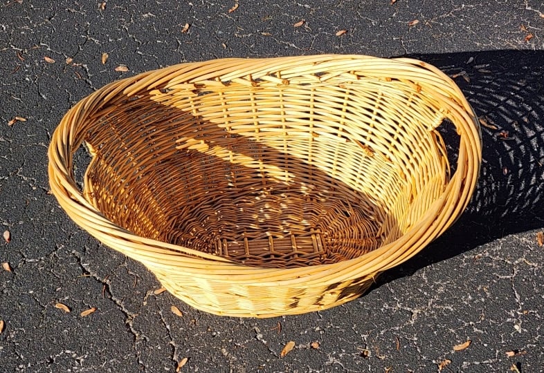 drying in the sun