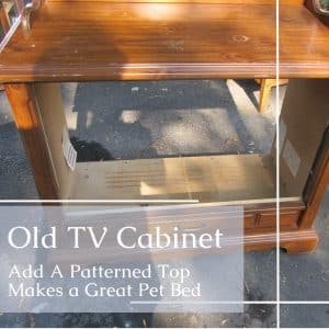 old cabinet-new look