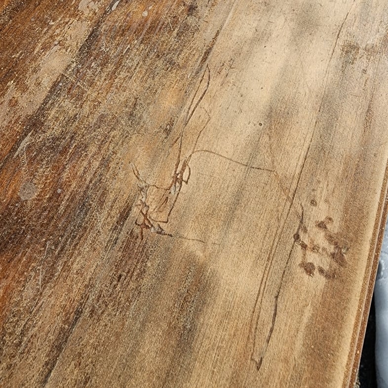 after first pass with sander