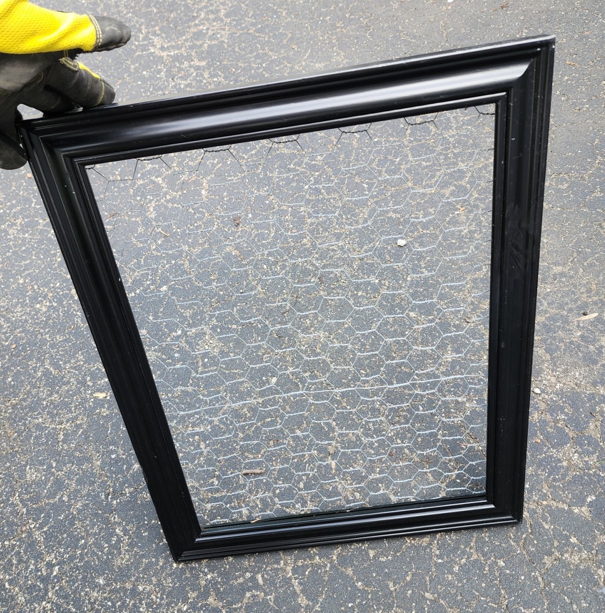 thrift store frame with chicken wire