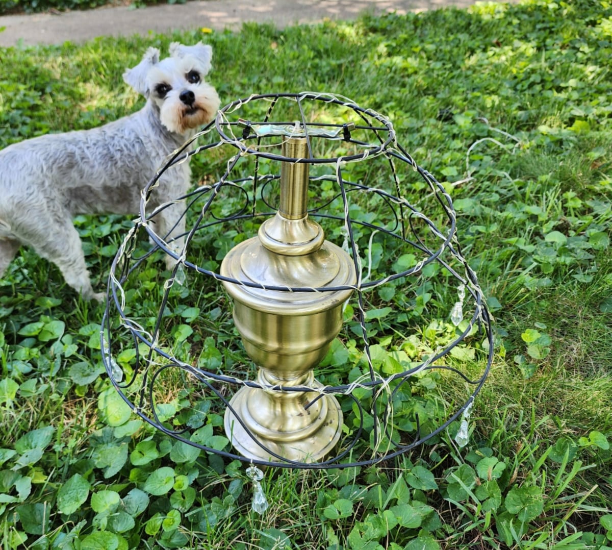 outdoor fairy garden lamp in the yard