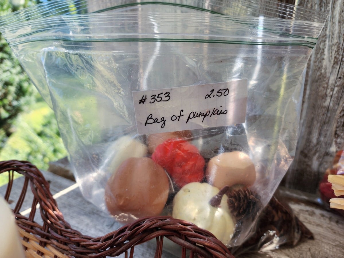 bag of small faux pumpkins from the thrift store